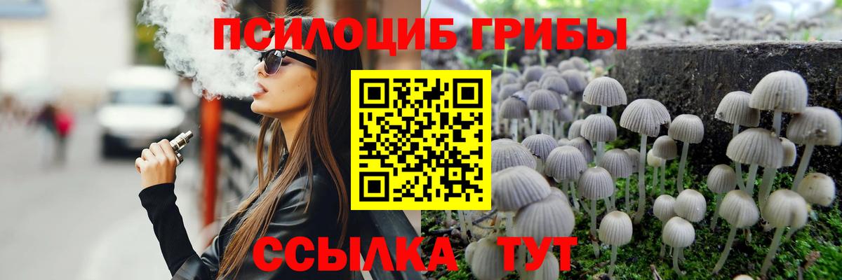 Прокопьевск  Псилоцибиновые грибы Magic Shrooms  Псилоцибиновые грибы Psilocybine cubensis  Вход с VPN 